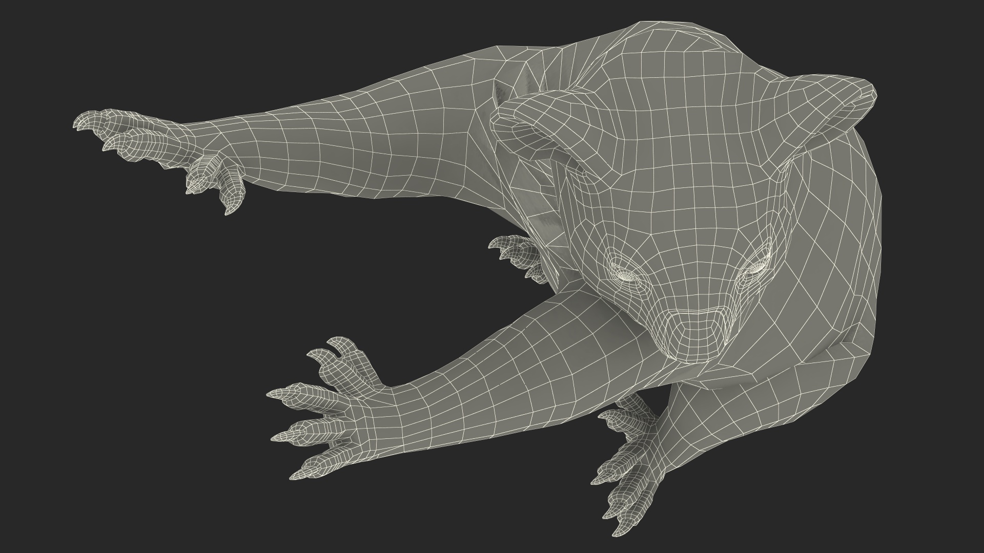 Australian Koala Rigged for Maya 3D