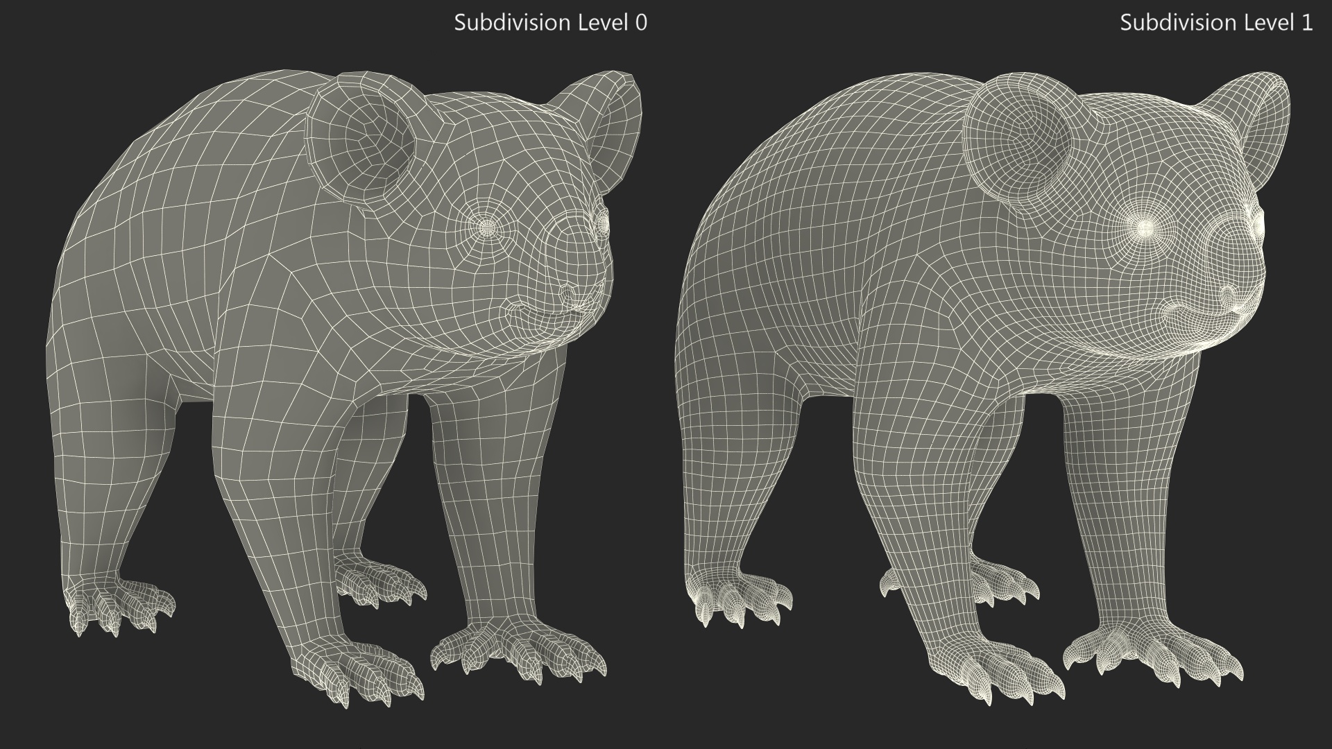 Australian Koala Rigged for Maya 3D