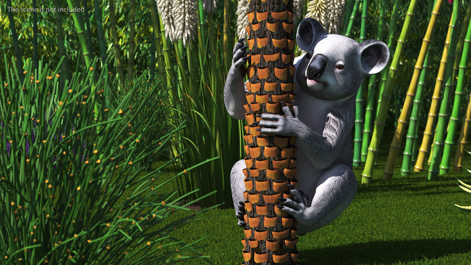 Australian Koala Rigged for Maya 3D