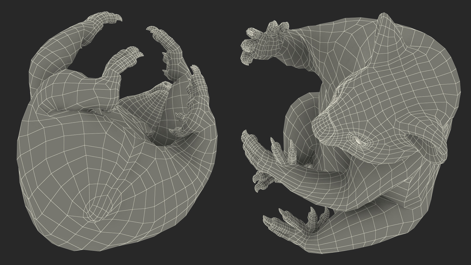 Australian Koala Rigged for Maya 3D
