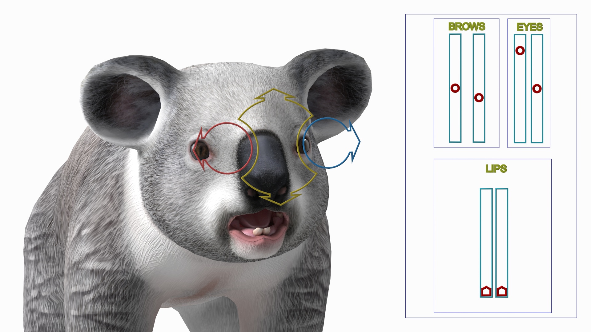 Australian Koala Rigged for Maya 3D