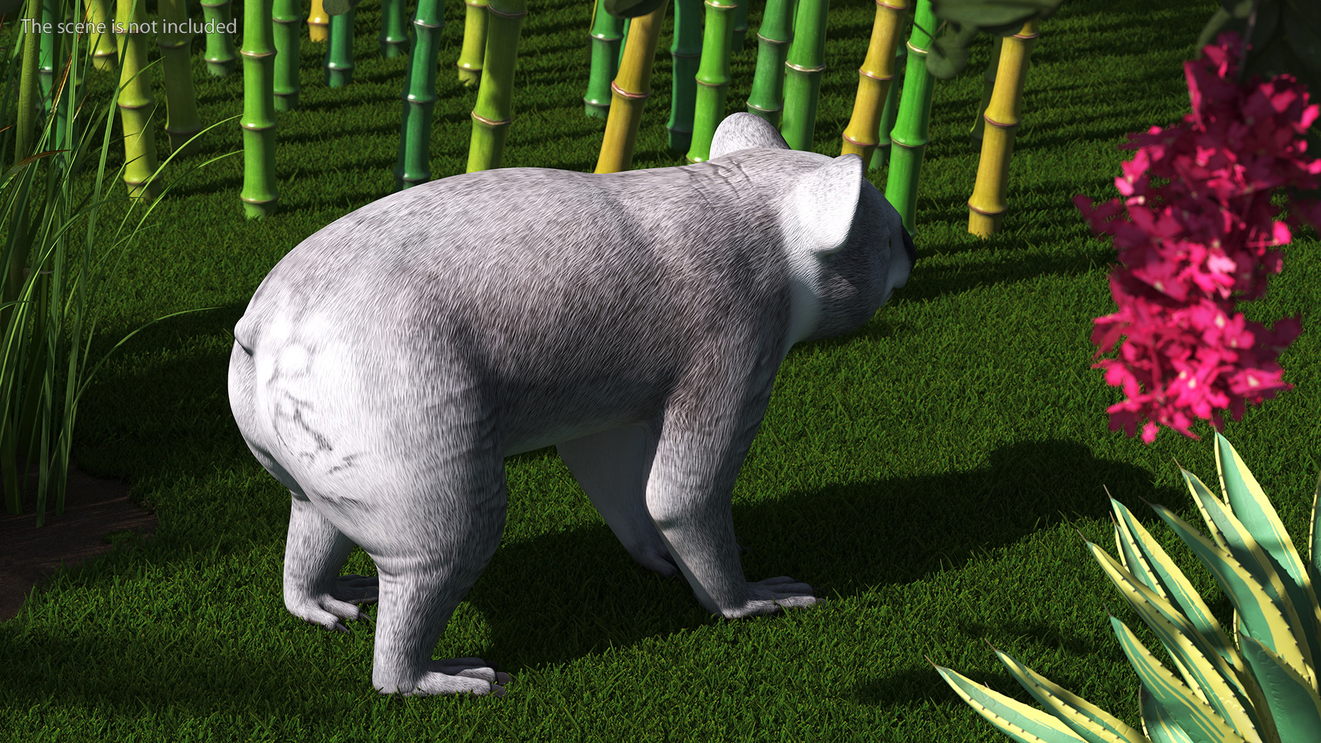 Australian Koala Rigged for Maya 3D