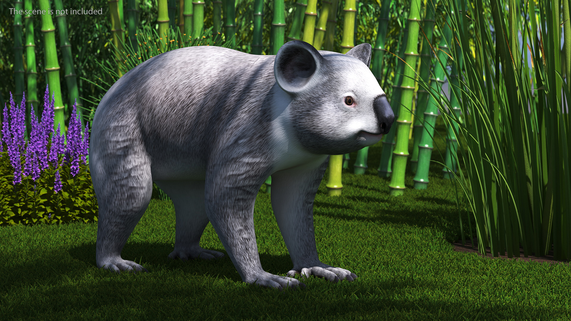 Australian Koala Rigged for Maya 3D