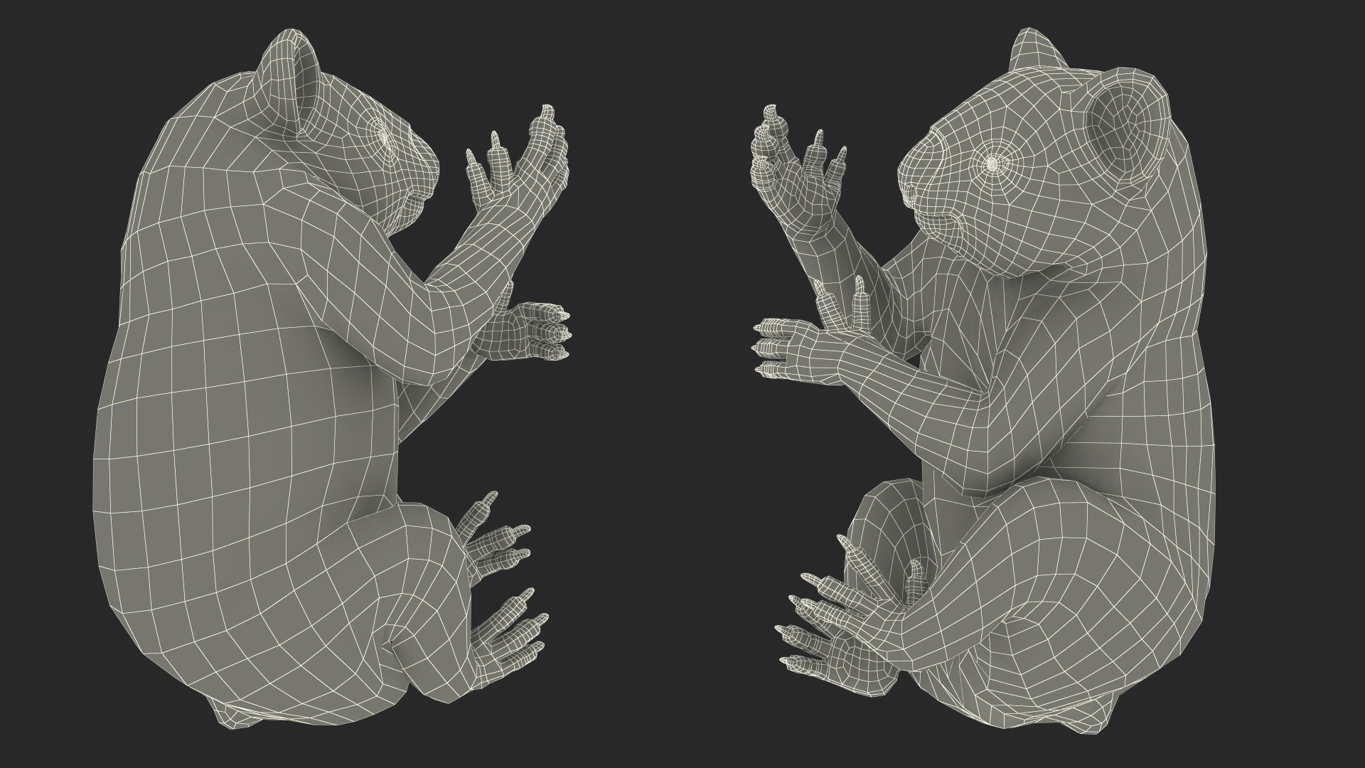 Australian Koala Rigged for Maya 3D
