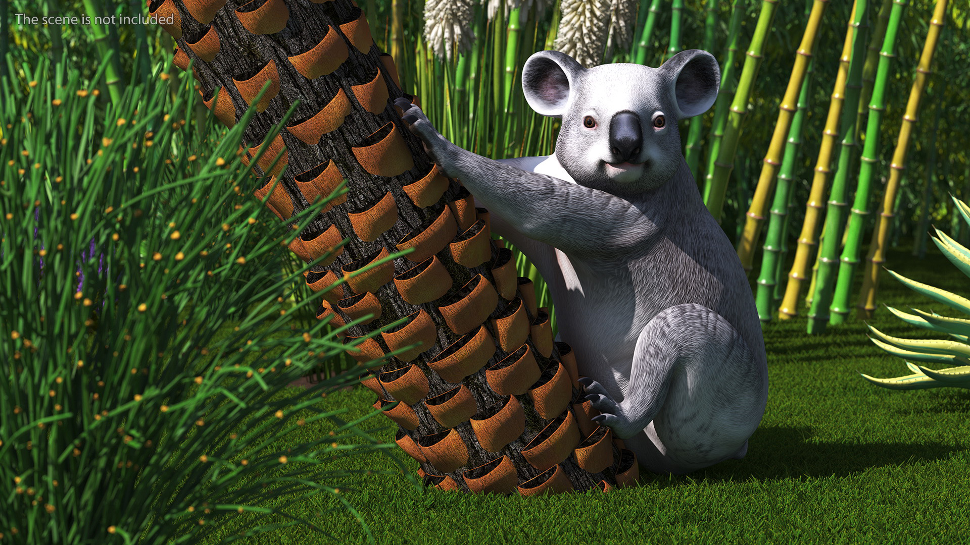 Australian Koala Rigged for Maya 3D