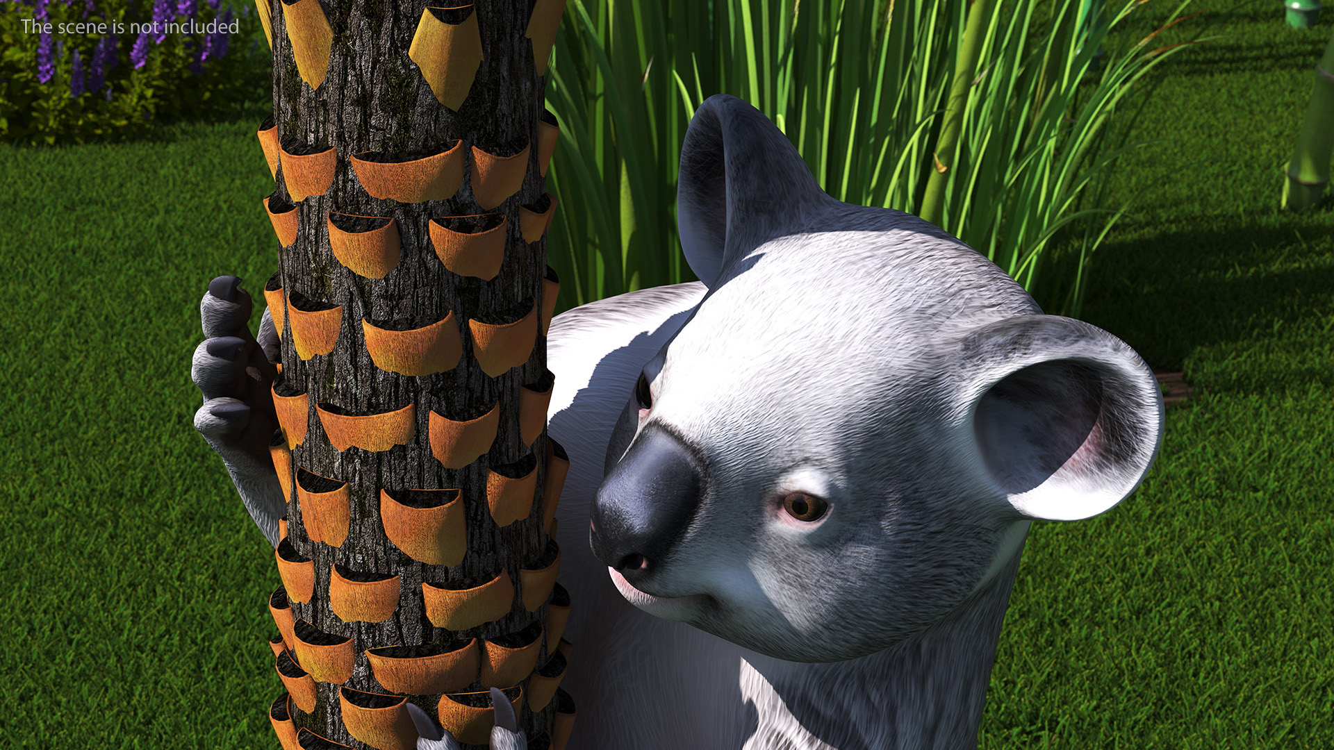 Australian Koala Rigged for Maya 3D