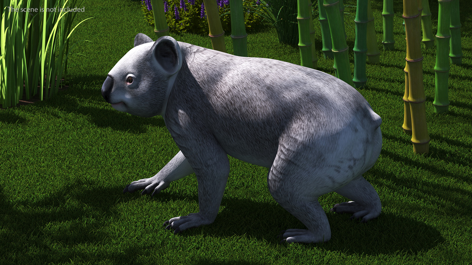Australian Koala Rigged for Maya 3D