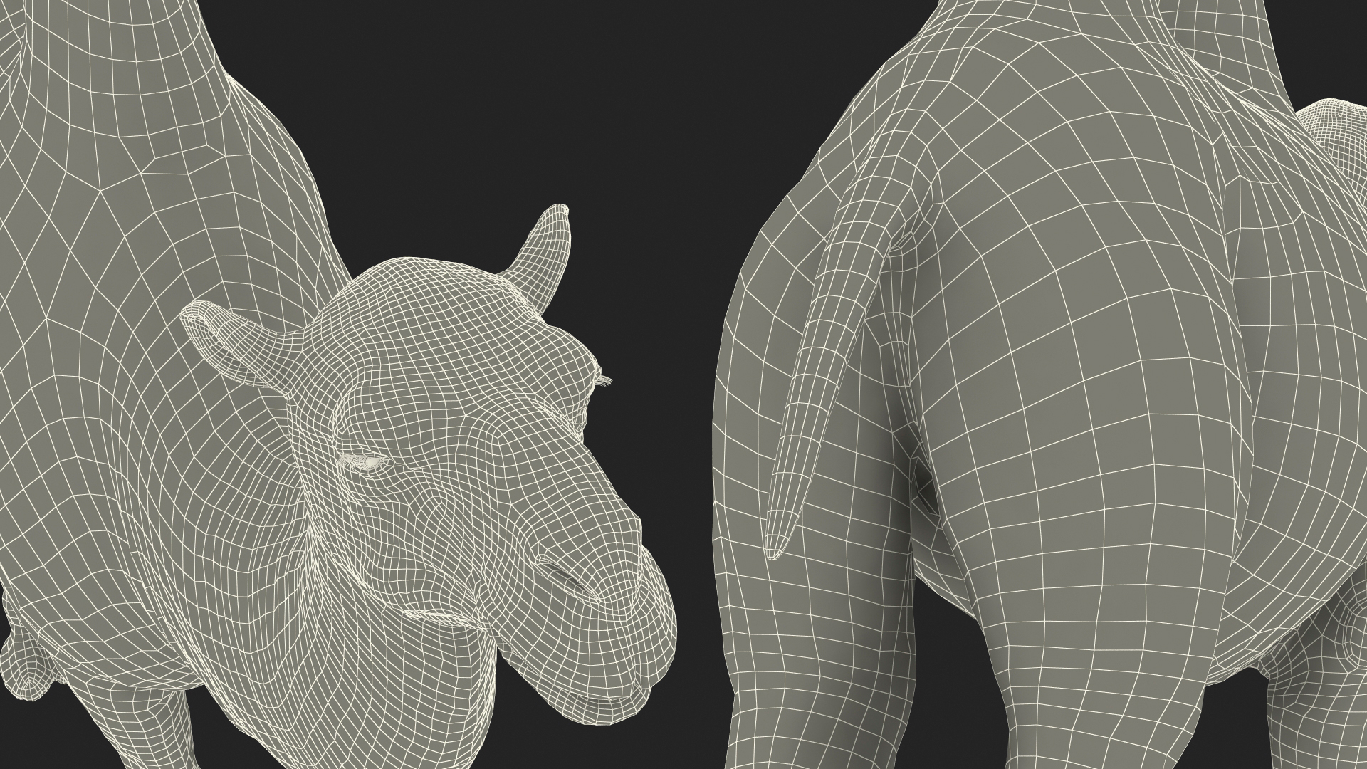 3D model Bactrian Camel Fur Rigged