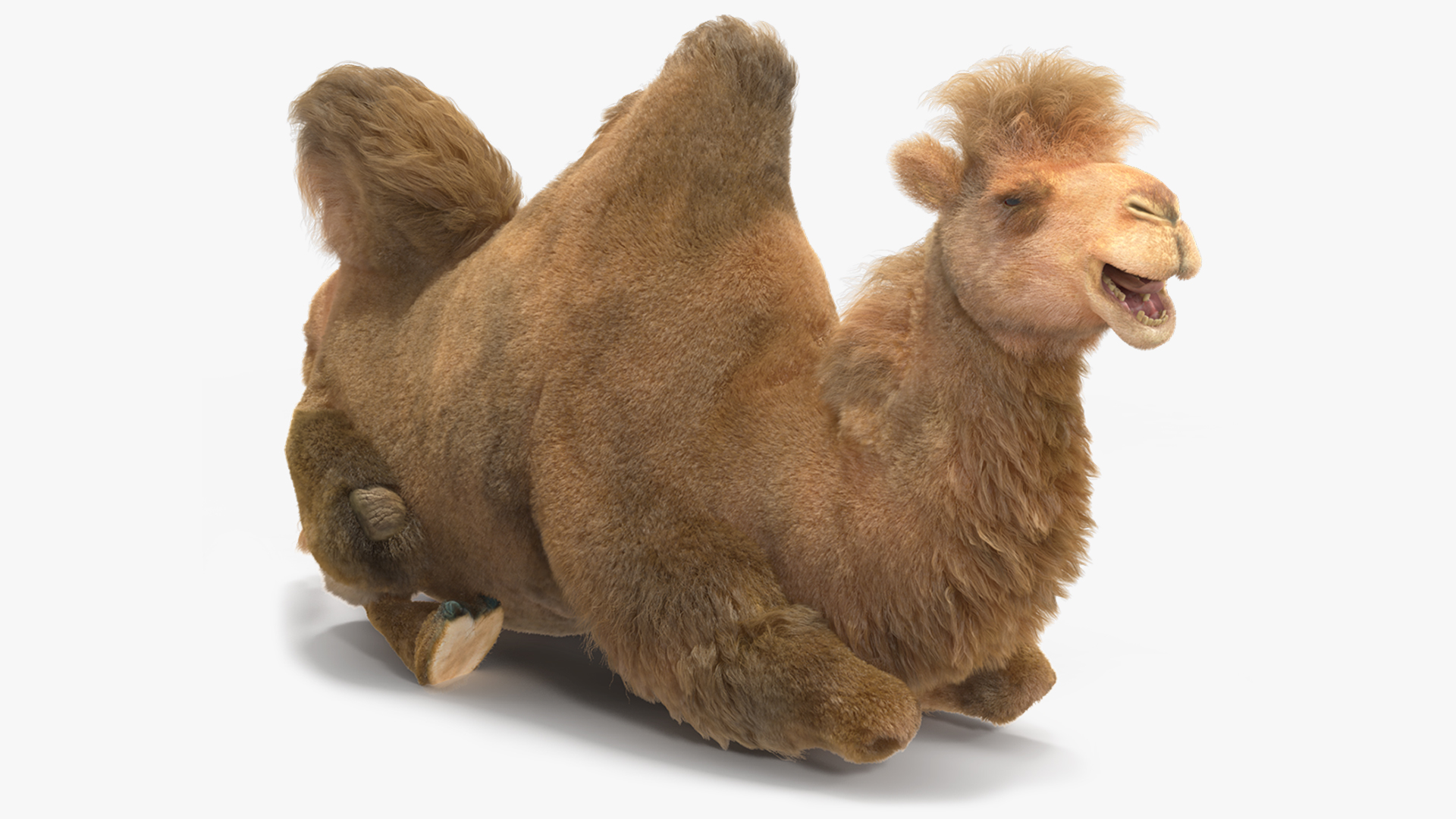 3D model Bactrian Camel Fur Rigged