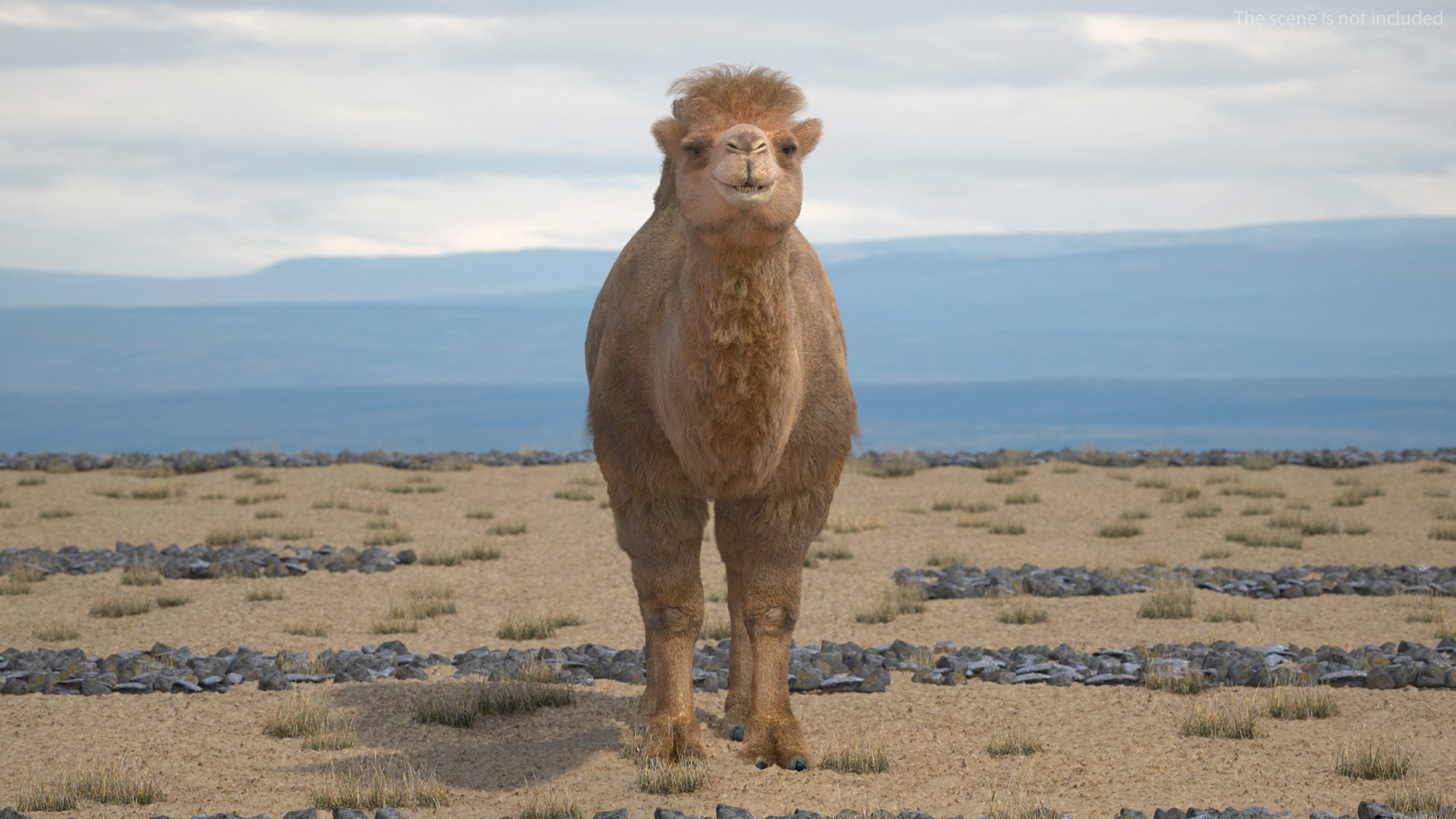 3D model Bactrian Camel Fur Rigged