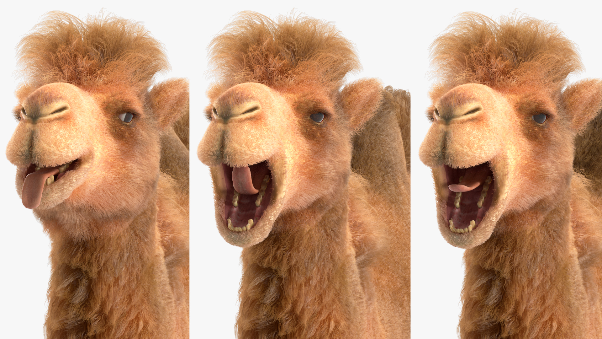 3D model Bactrian Camel Fur Rigged