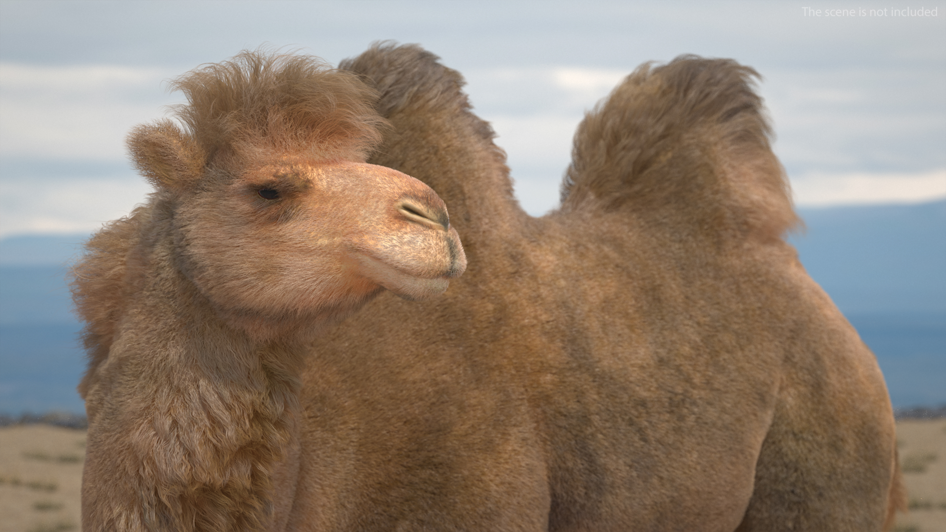 3D model Bactrian Camel Fur Rigged