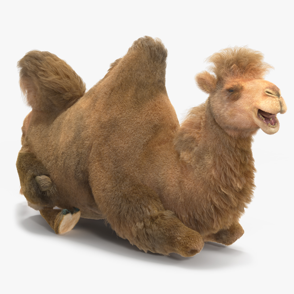 3D model Bactrian Camel Fur Rigged