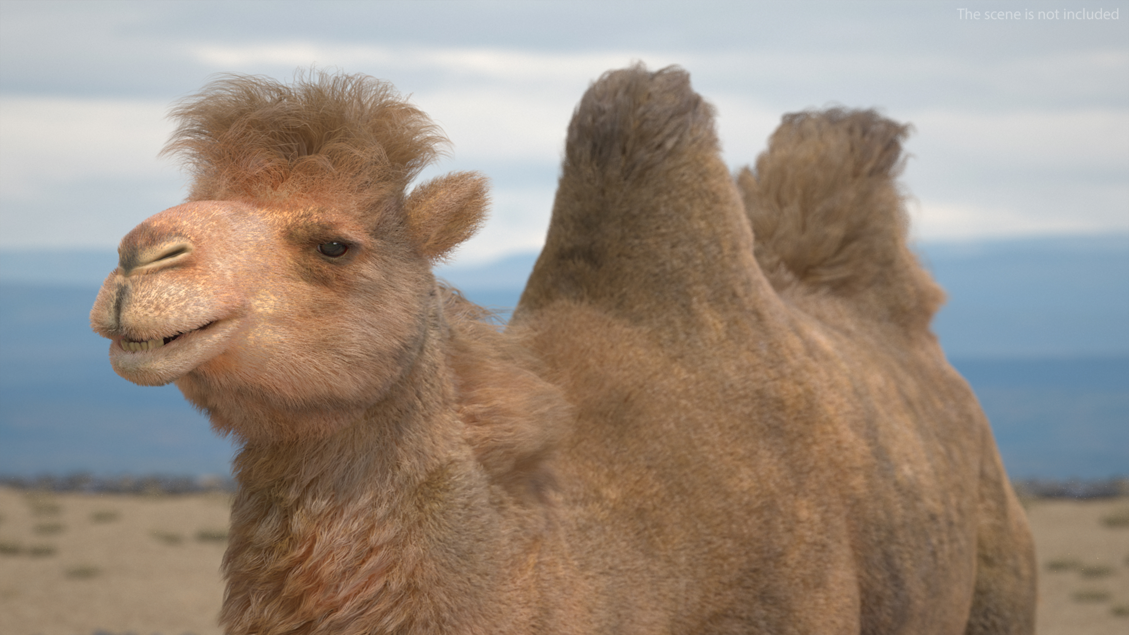 3D model Bactrian Camel Fur Rigged