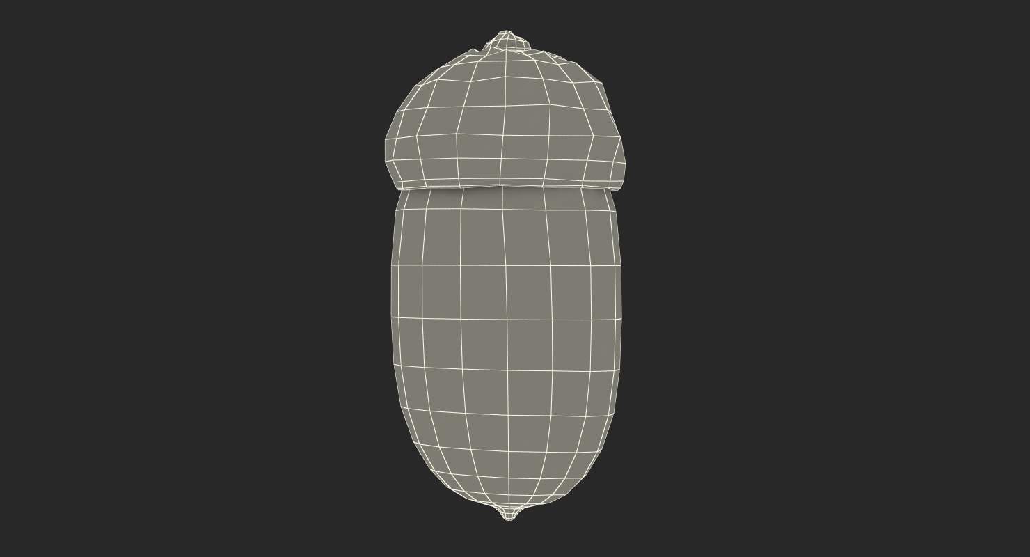 Single Acorn 3D