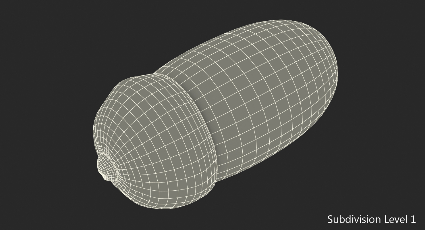 Single Acorn 3D