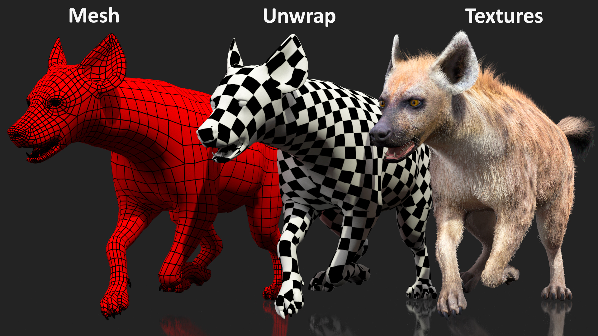 Hyena Running Pose Fur 3D