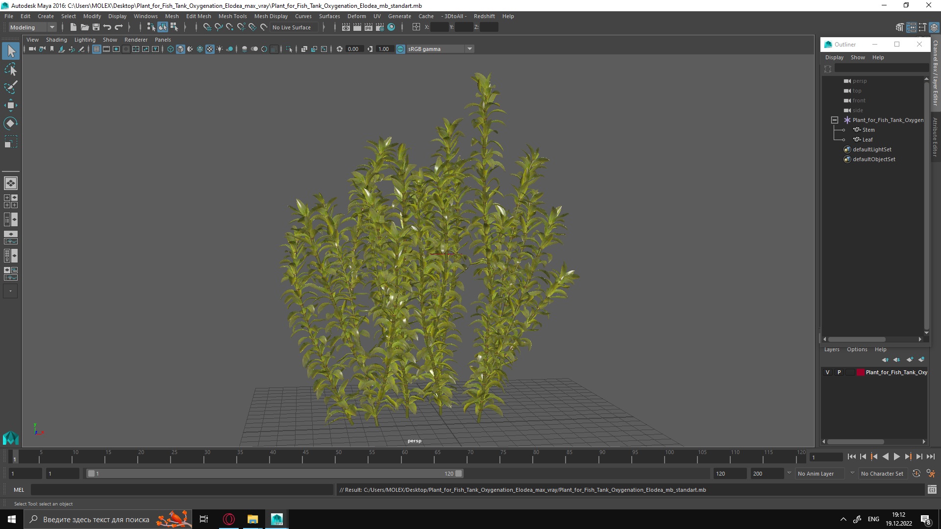 3D Plant for Fish Tank Oxygenation Elodea model