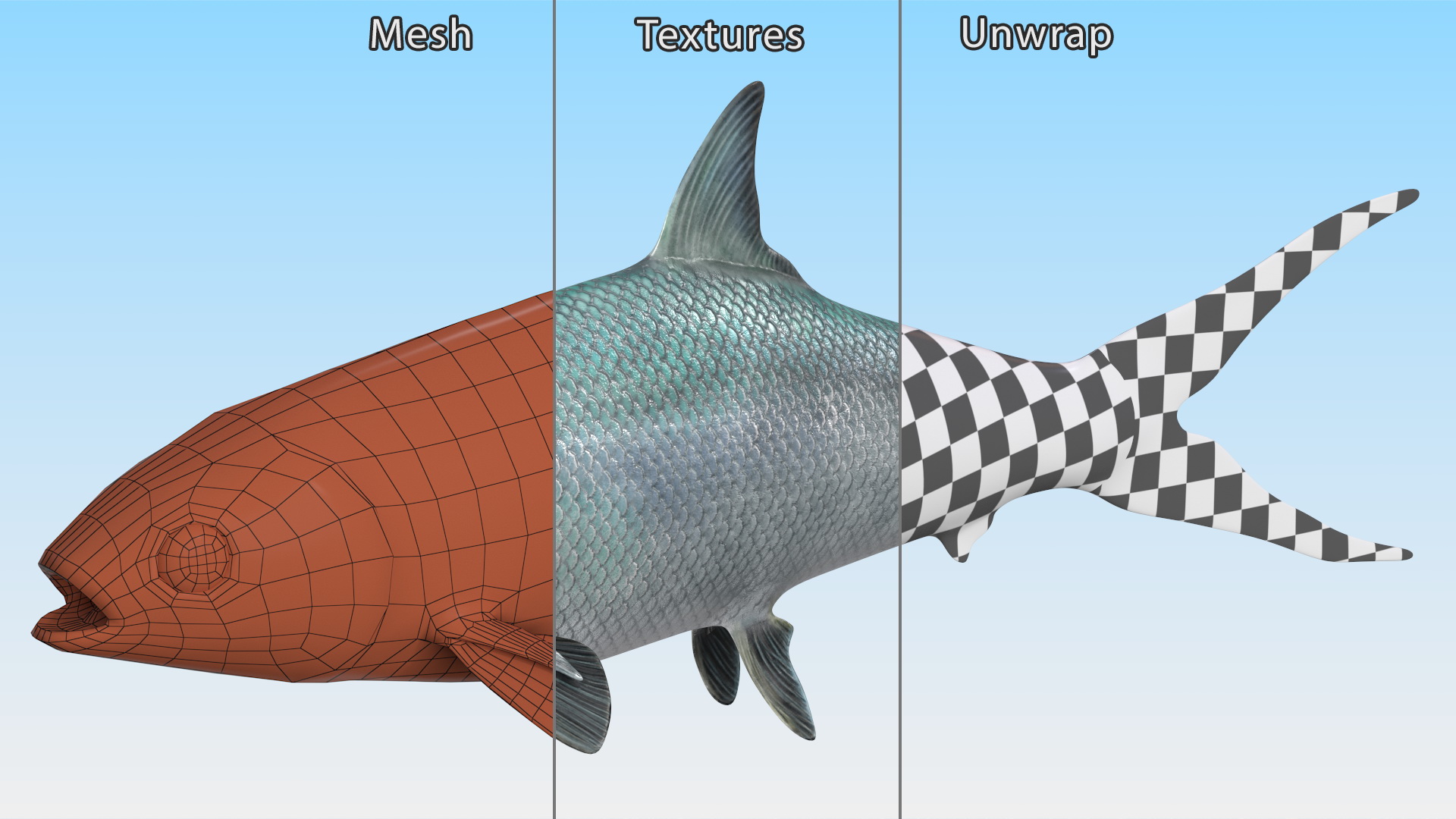 3D model Milkfish