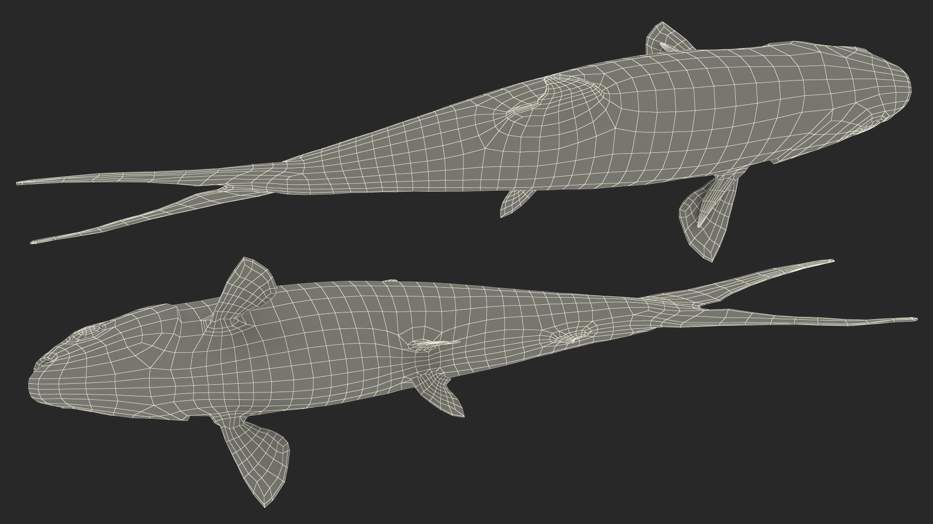 3D model Milkfish