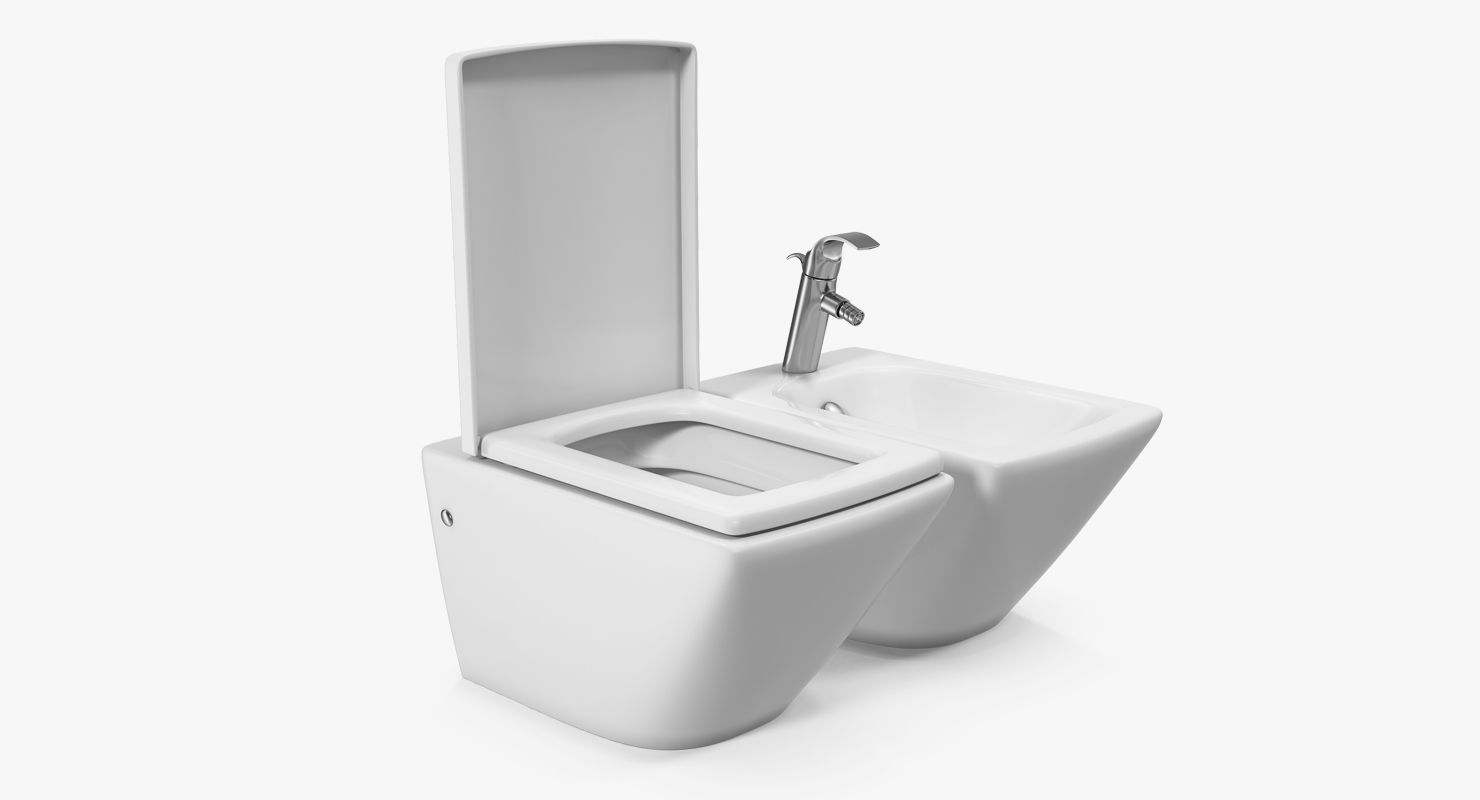 3D model Back To Wall Toilet and Bidet White