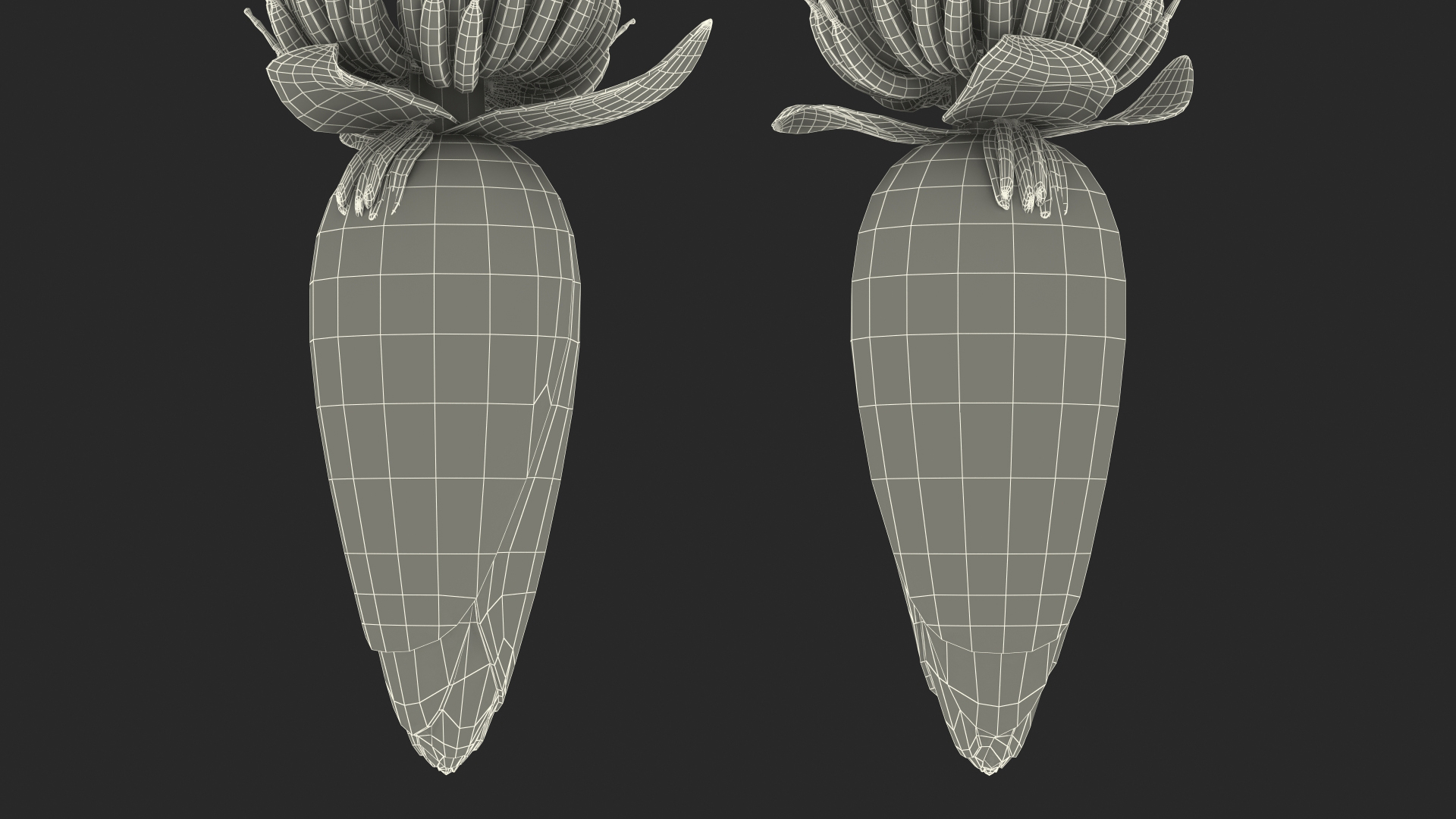 3D Blooming Banana Cluster model