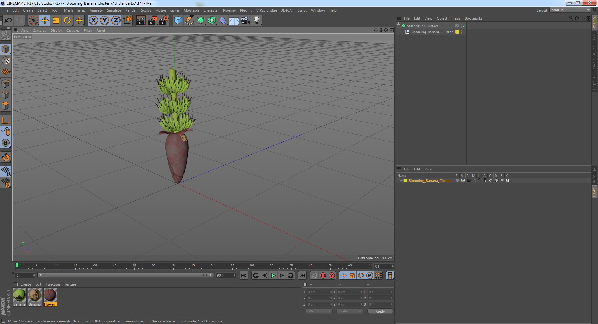 3D Blooming Banana Cluster model