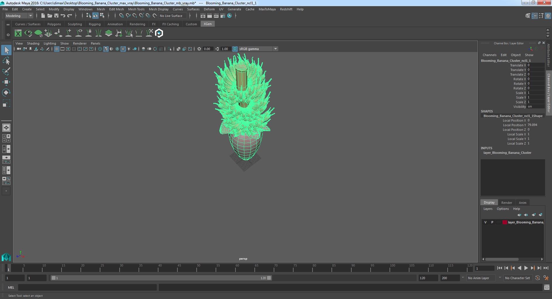 3D Blooming Banana Cluster model