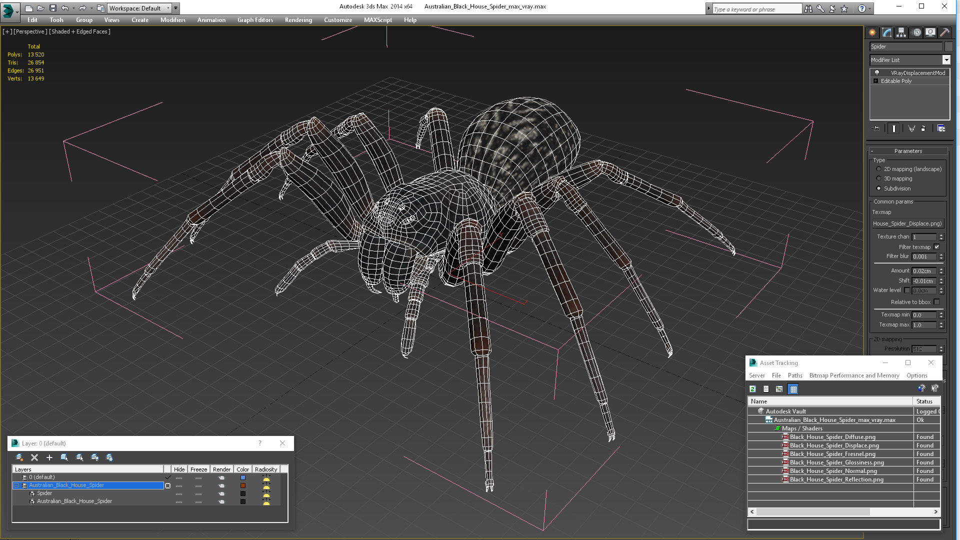 Australian Black House Spider 3D model