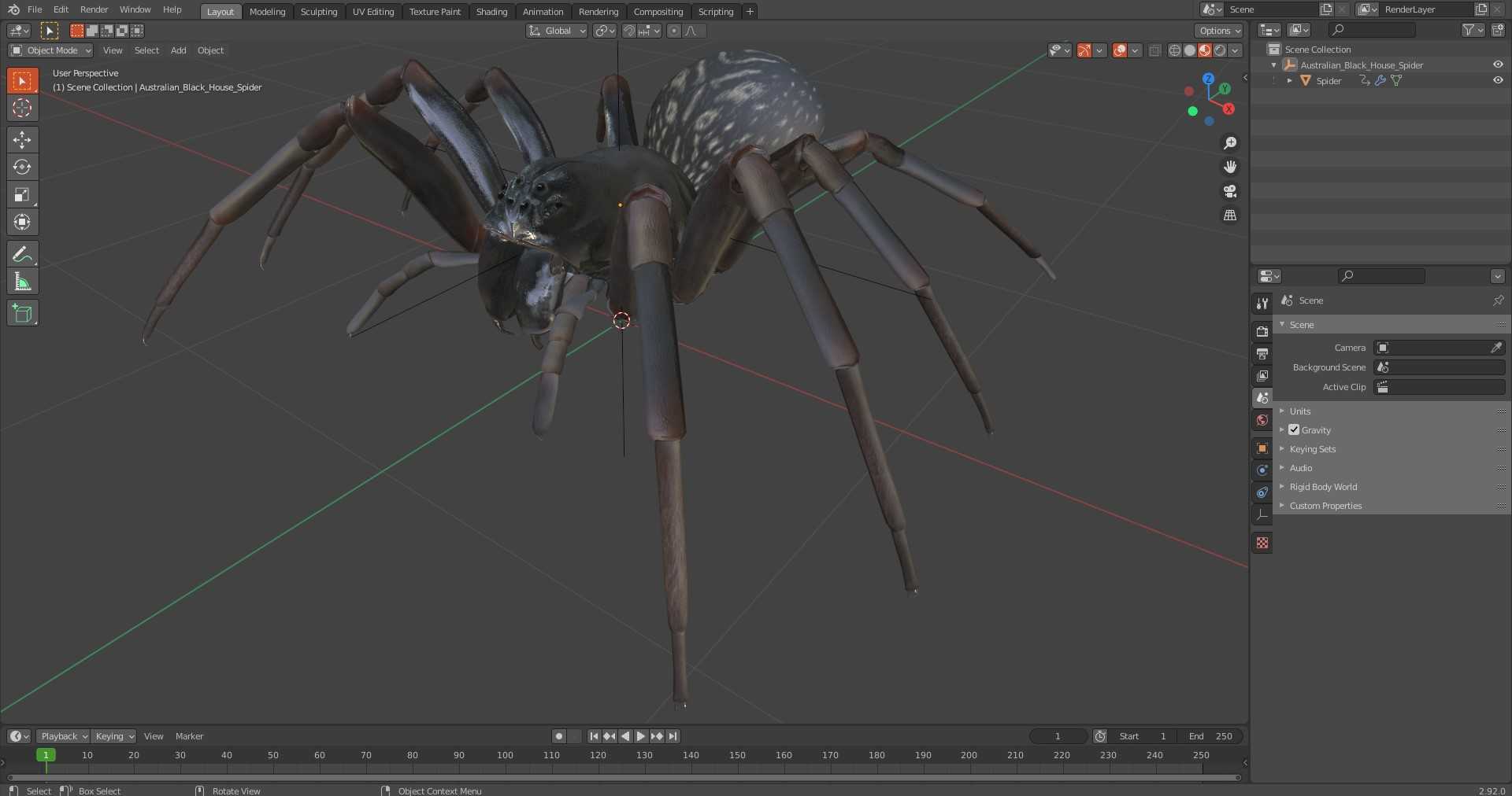 Australian Black House Spider 3D model