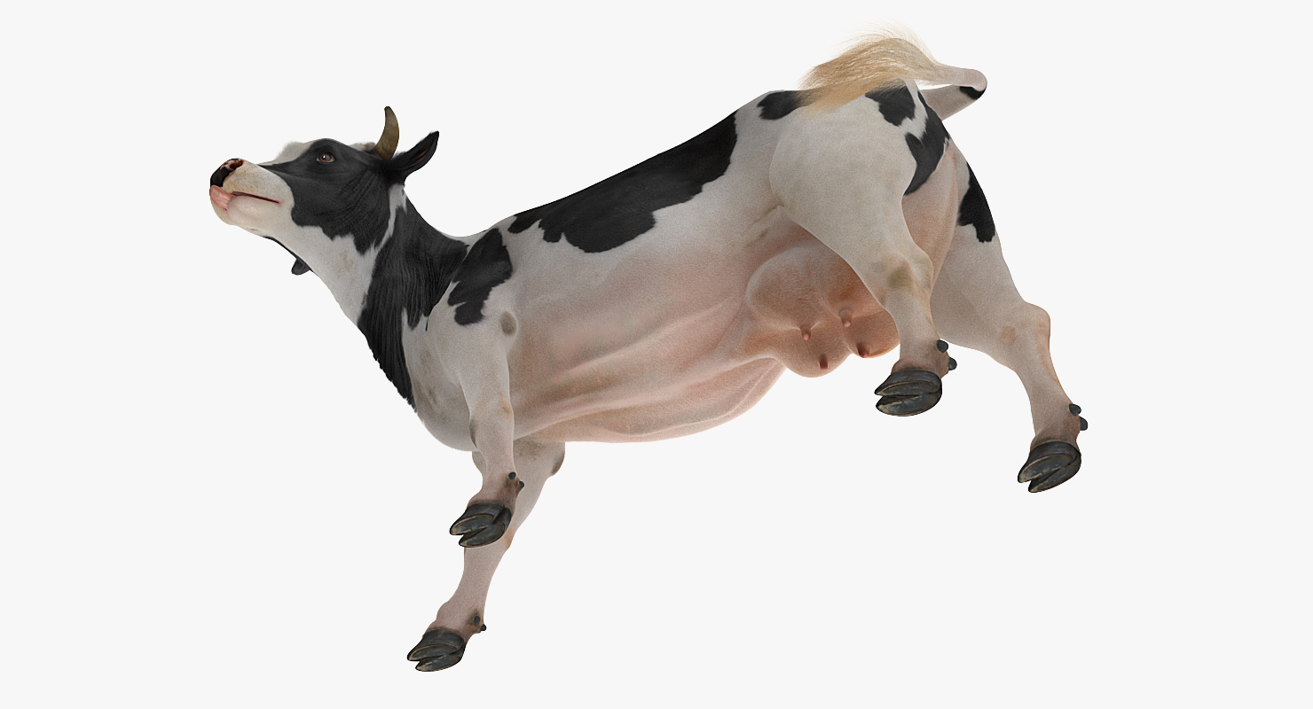 3D Holstein Cow with Fur
