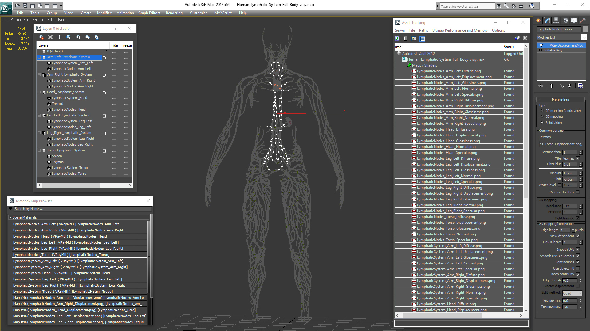 Human Lymphatic System Full Body 3D
