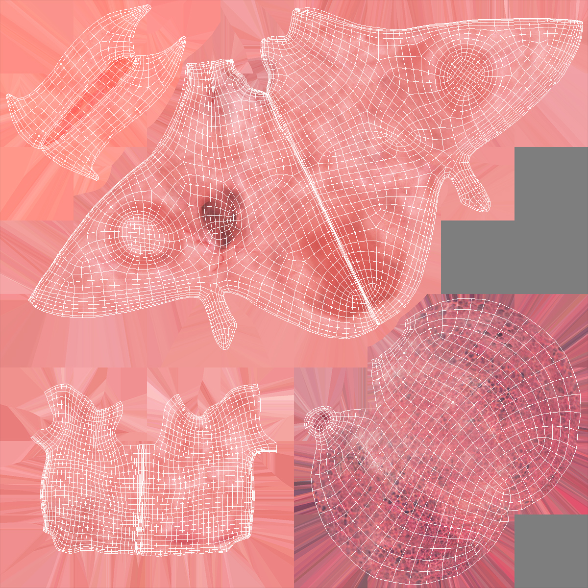 3D model Frog Anatomy Right Side Transparent
