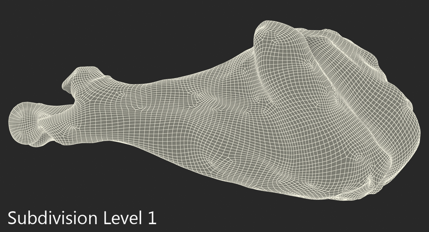 3D Roasted Turkey Leg model