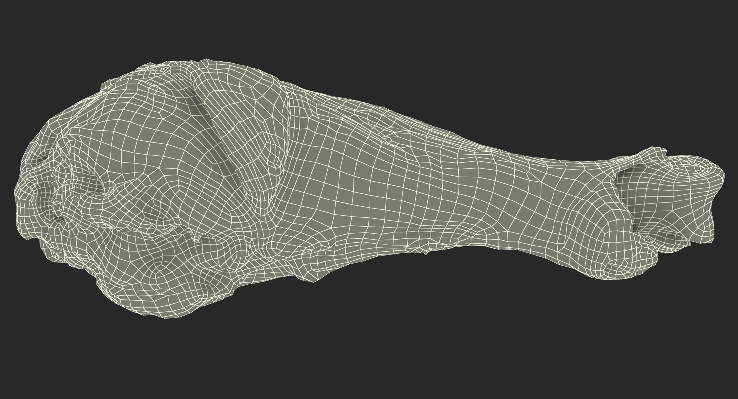 3D Roasted Turkey Leg model