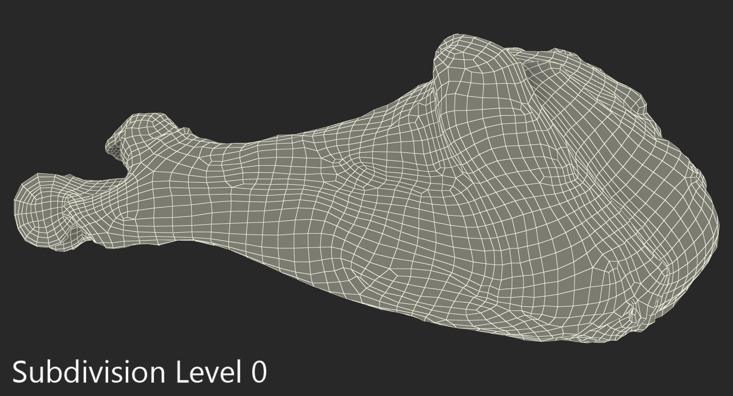 3D Roasted Turkey Leg model