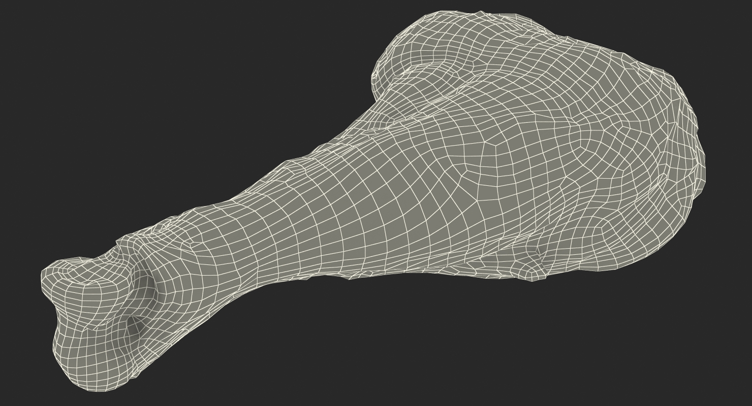 3D Roasted Turkey Leg model