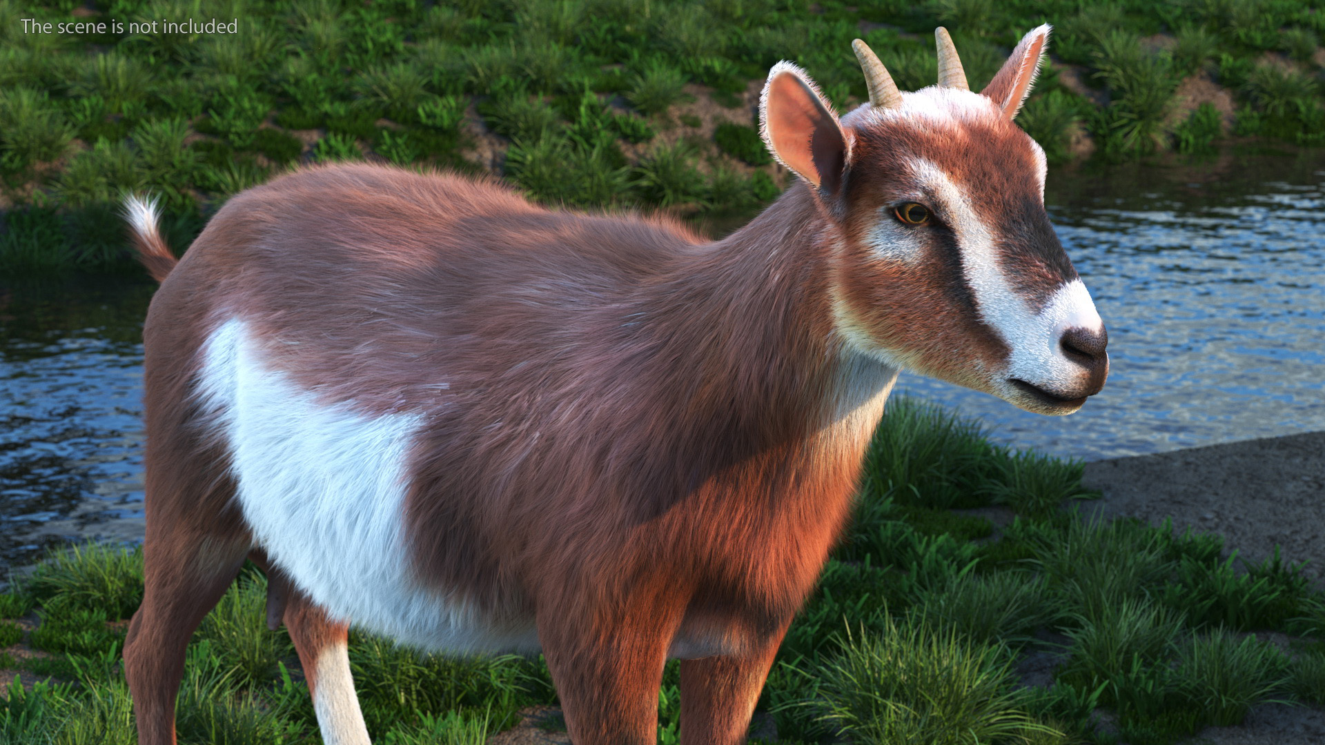 Dairy Goat Brown Rigged Fur 3D