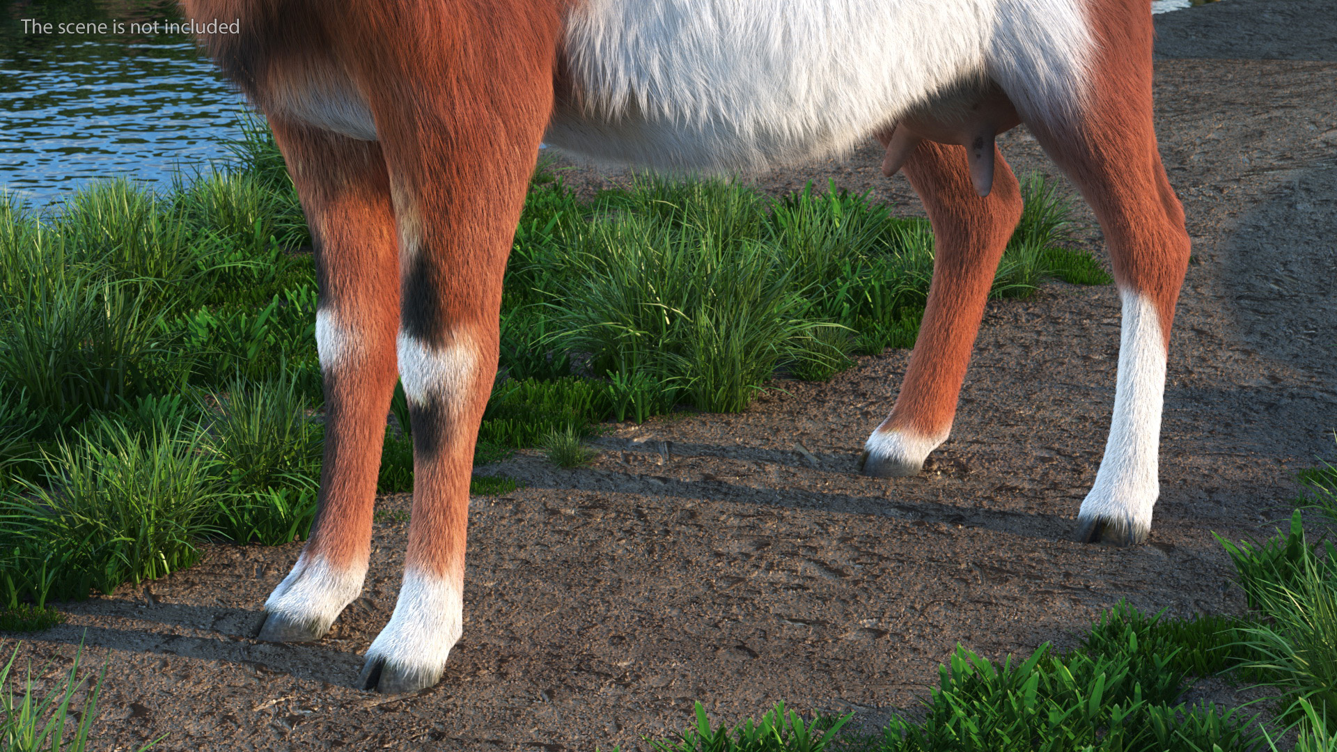 Dairy Goat Brown Rigged Fur 3D