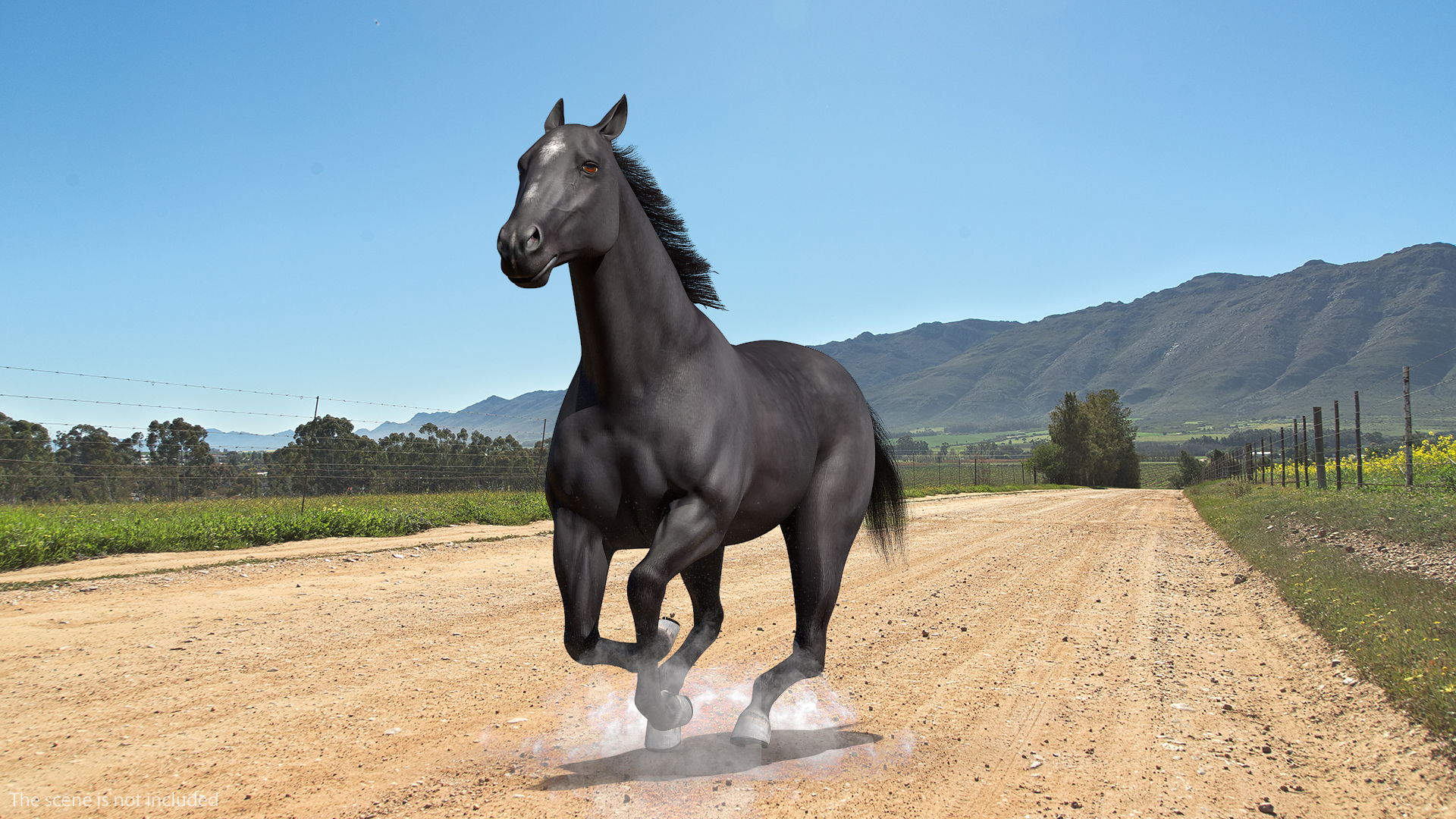 Black Horse Fur Rigged 3D