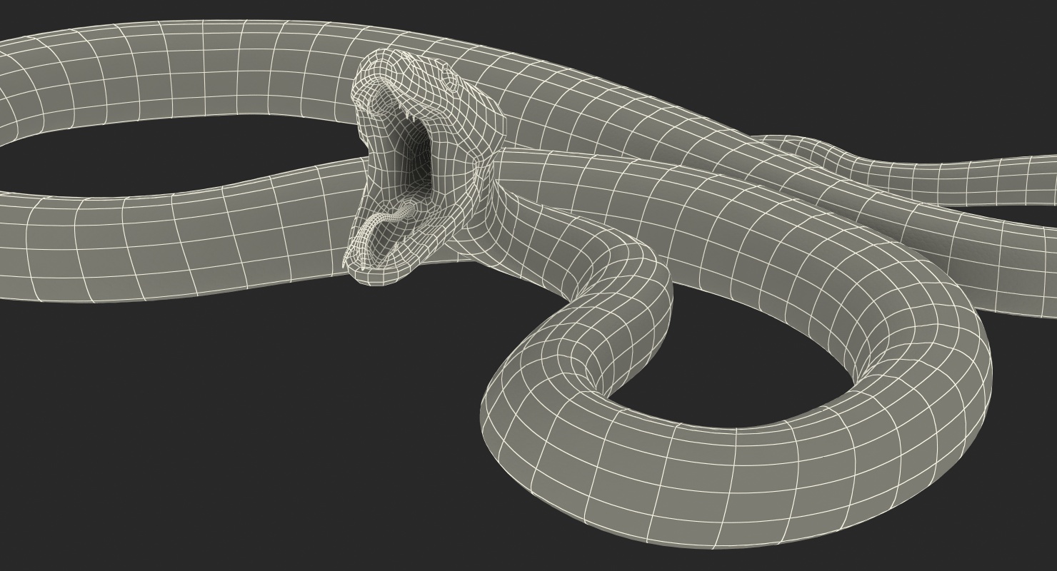 3D Yellow Python Snake Attack Pose