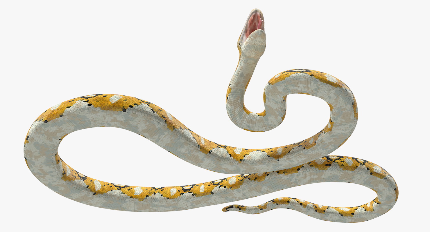 3D Yellow Python Snake Attack Pose