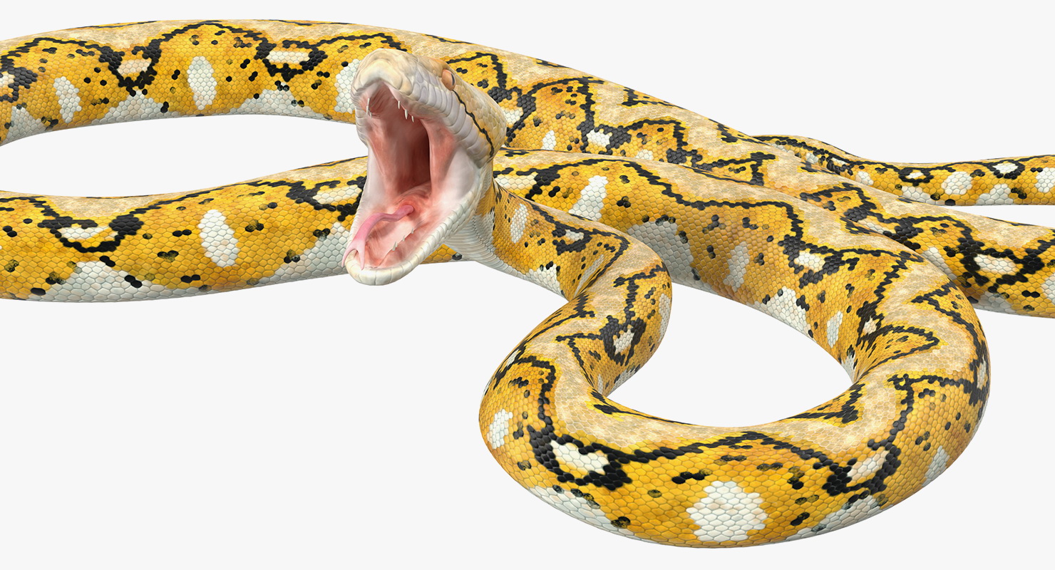 3D Yellow Python Snake Attack Pose