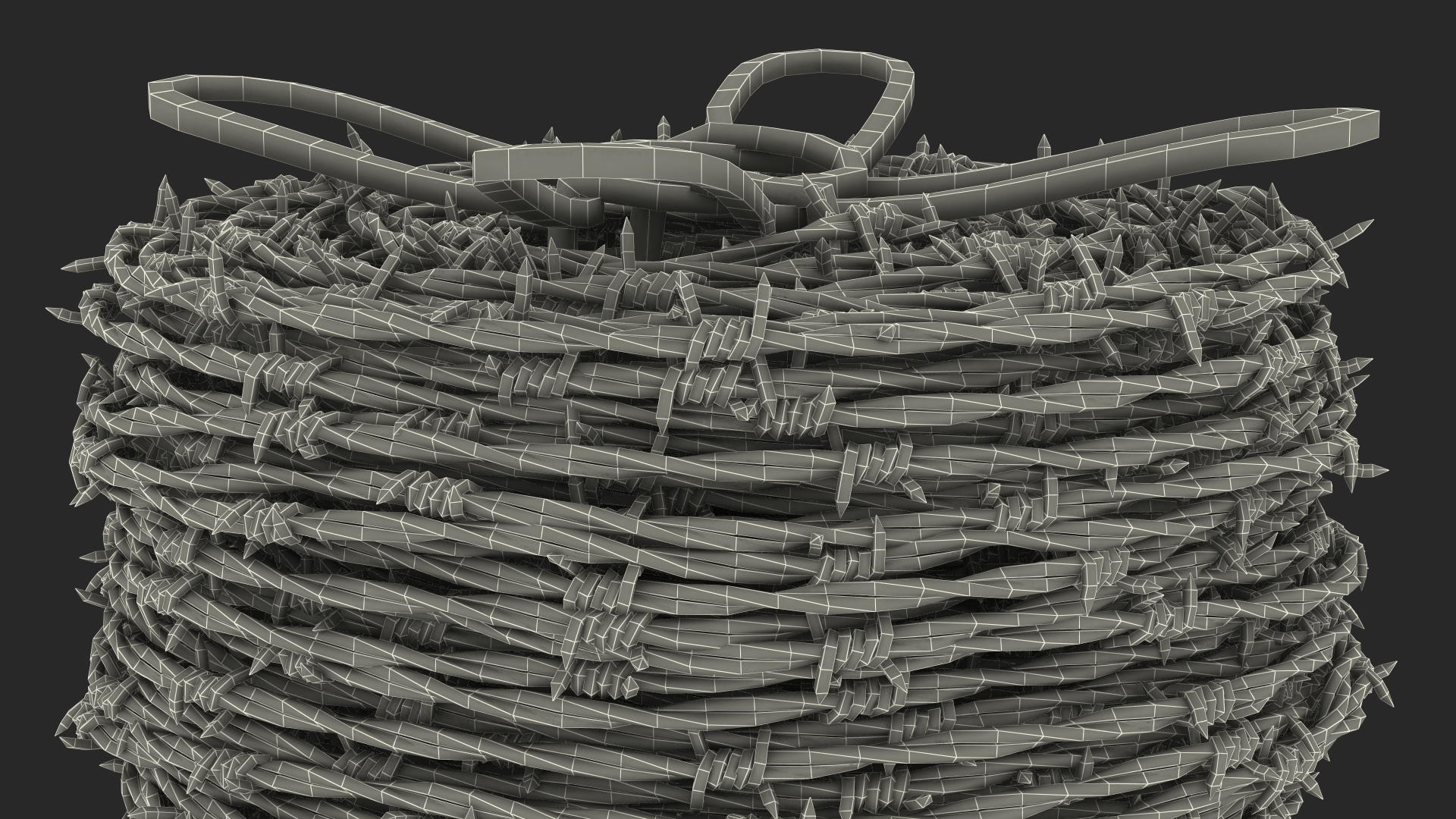 3D Barbed Wire Roll