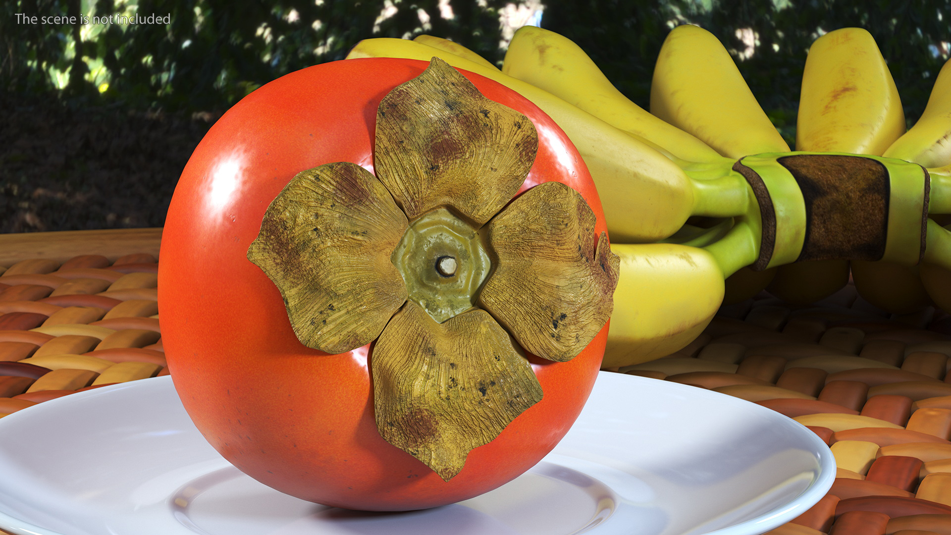 Persimmon Fruit Set 3D model