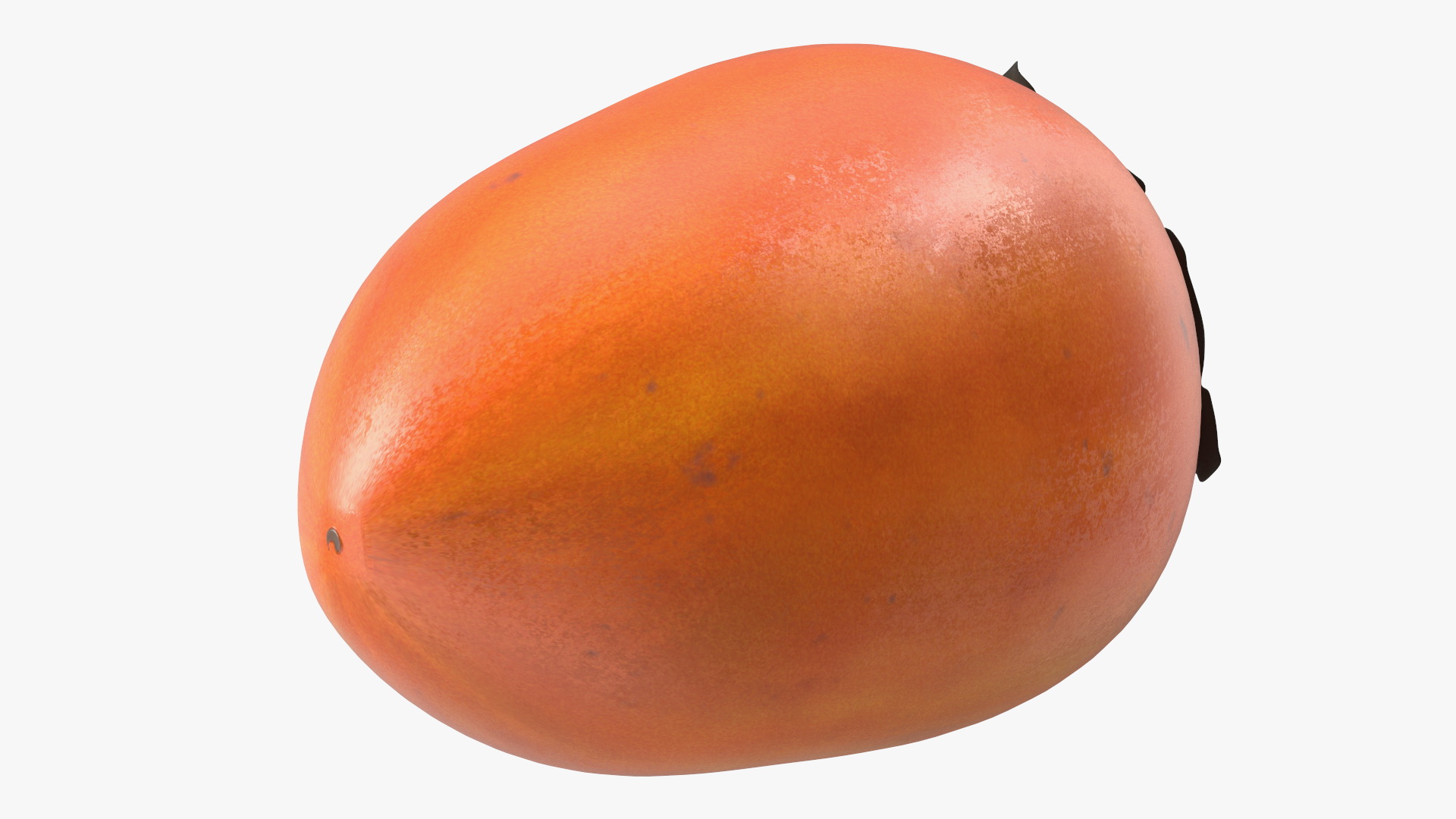 Persimmon Fruit Set 3D model