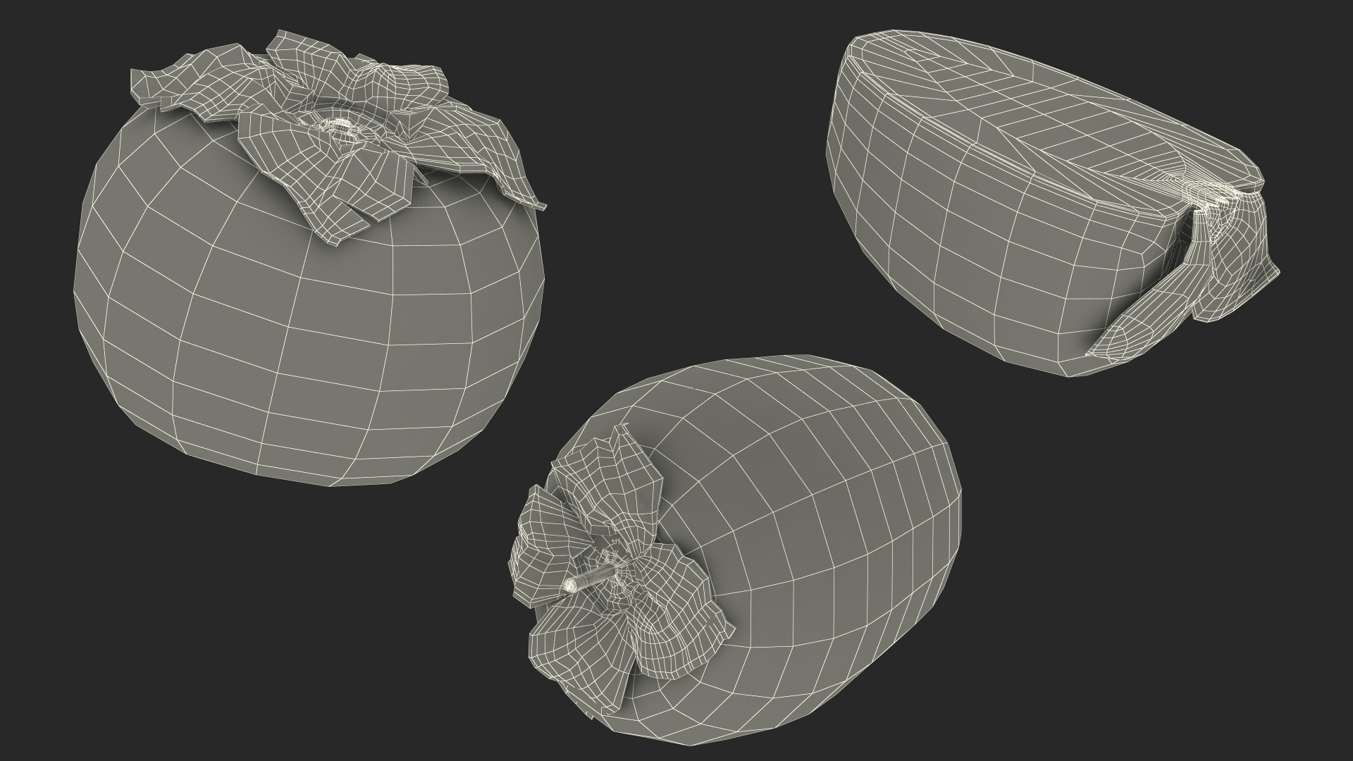Persimmon Fruit Set 3D model