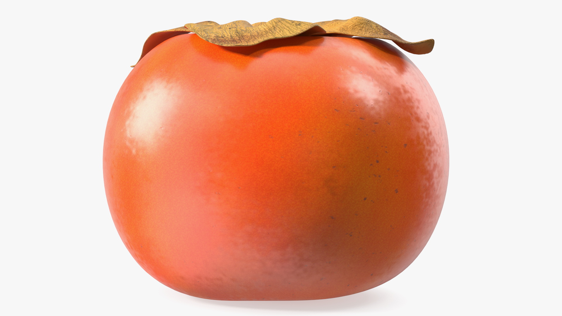Persimmon Fruit Set 3D model