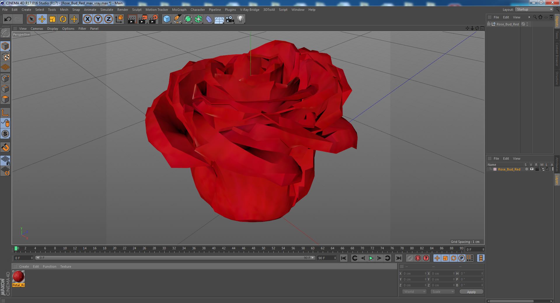 Rose Bud Red 3D