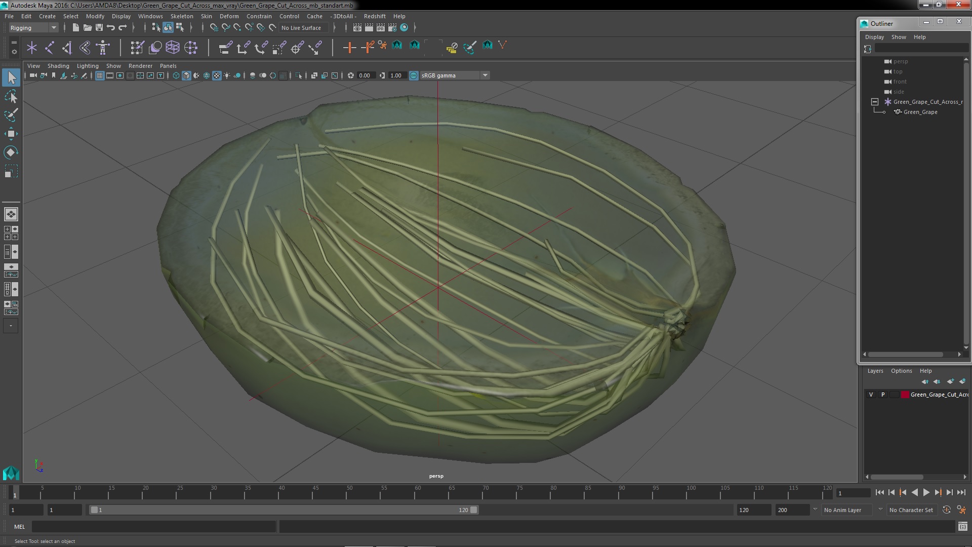 Green Grape Cut Across 3D